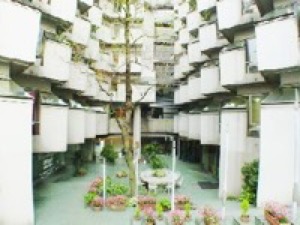 Colittlel ~コリトレル~のトッピック画像1