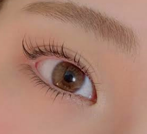 Melia Eyelash Salon メリアアイラッシュ Yoyakul Jp