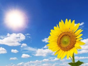 ドクターネイル爪革命 蓮沼駅前店のトッピック画像1