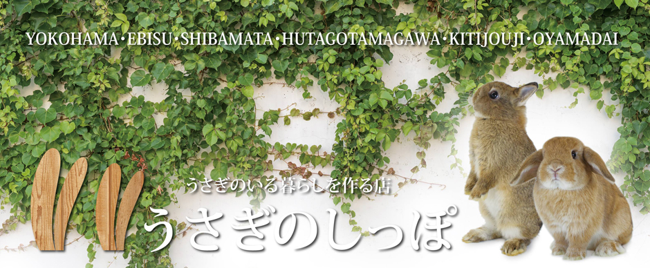 うさぎの暮らしを作る店 うさぎのしっぽの画像