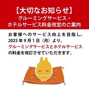 うさぎの暮らしを作る店　うさぎのしっぽのトッピック画像1