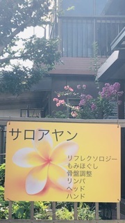 サロアヤンの店舗画像2